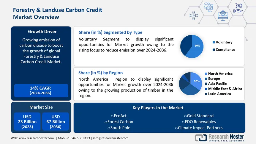 Forestry Landuse Carbon Credit Market